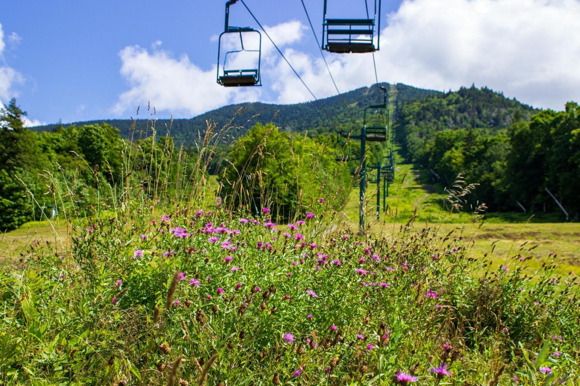 Smugglers' Notch Resort Private Suites Cambridge Εξωτερικό φωτογραφία
